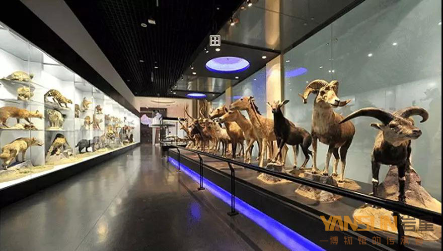 博物館展館設計方案:感受色彩對比的方法和變化的規(guī)律插圖(2) 博物館展館設計方案:感受色彩對比的方法和變化的規(guī)律插圖(2)