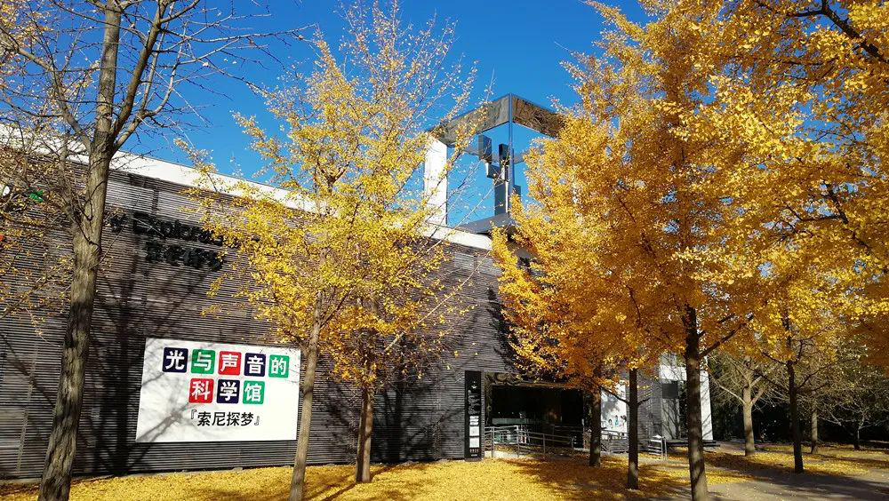 一周一館 | “索尼探夢”科技館插圖 一周一館 | “索尼探夢”科技館插圖
